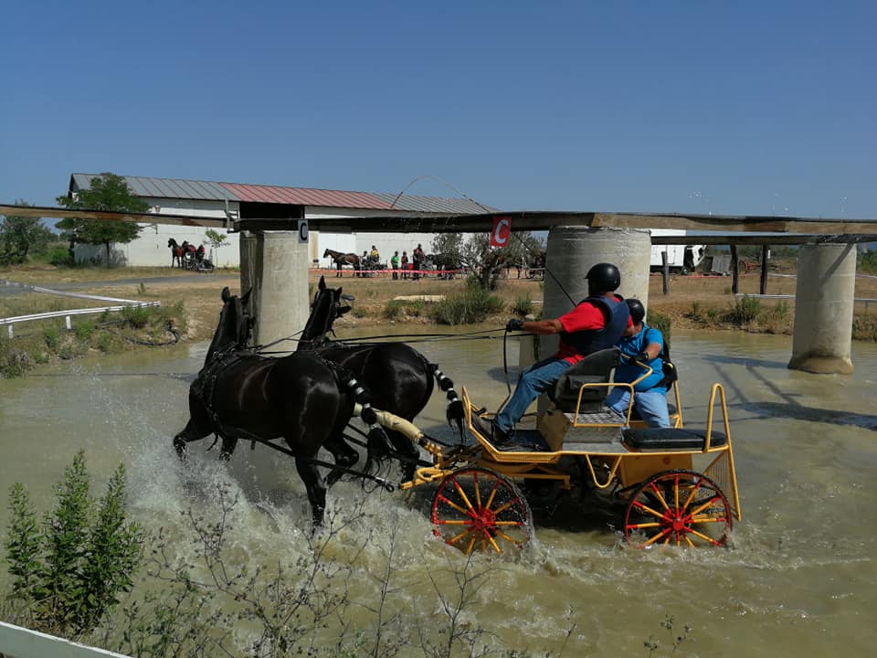 3ª Fase y Final del Campeonato Navarra de Enganches Indoor en La Pinturita de Olite
